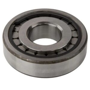 Input Bearing Retainer / age - Drive Pinion Shaft Bearing