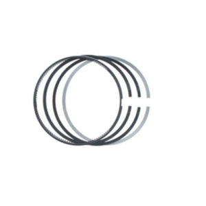 Piston Rings – 4089810