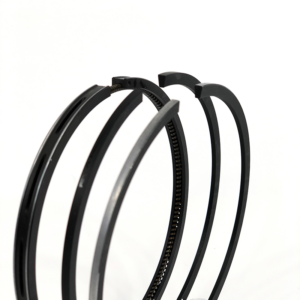 Piston Rings – 684256
